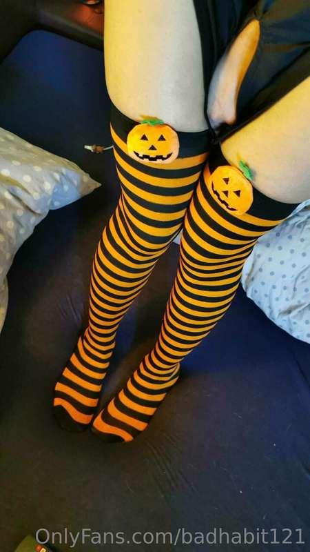 shy little pumpkin