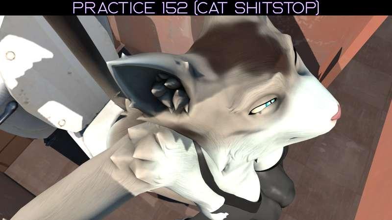 Practice 152 (Cat Shit)
