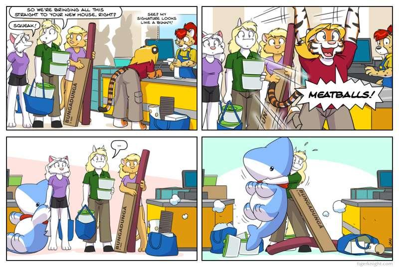 Flatpackers - 10