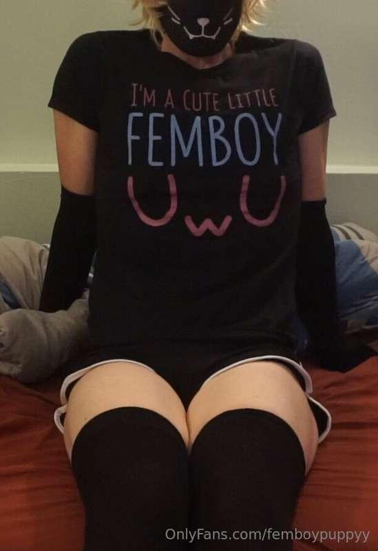 femboypuppyy image #0