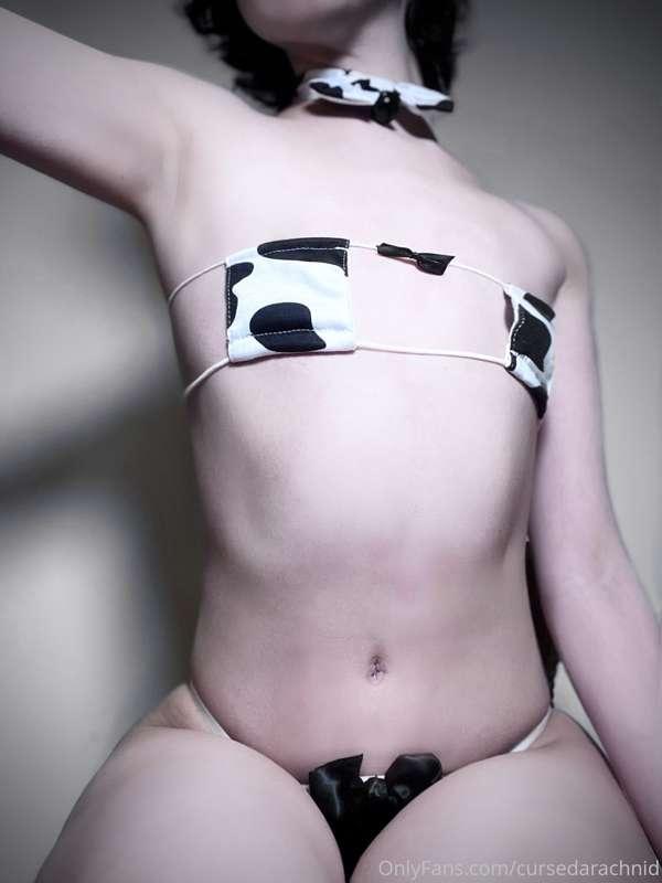 cursedarachnid image #0
