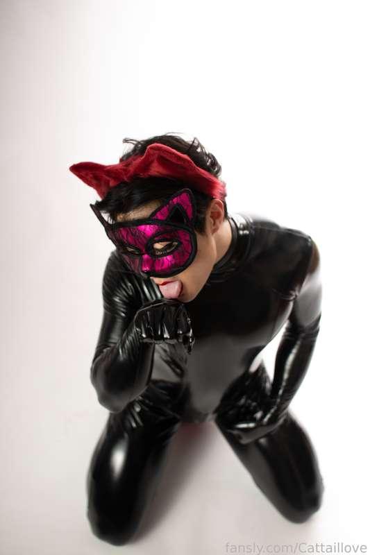 cattaillove image #5