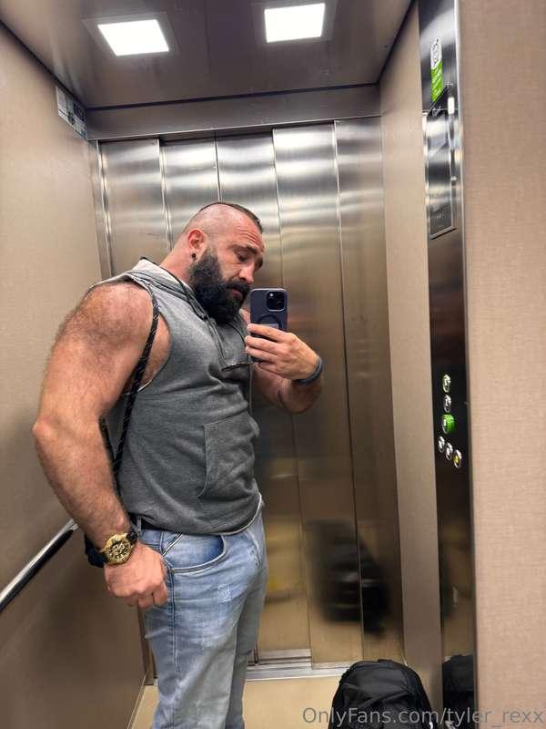 tyler_rexx main image