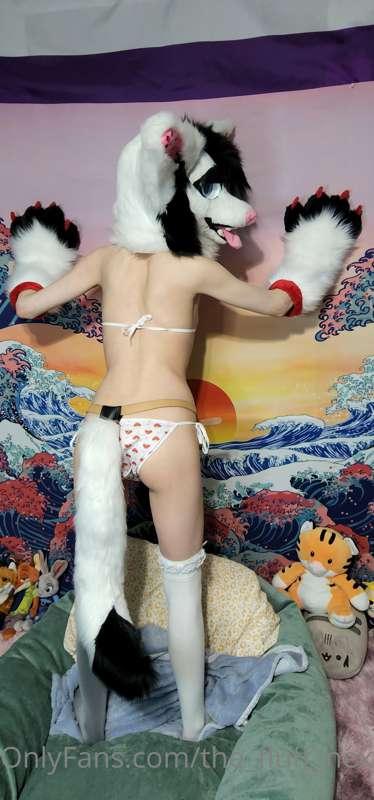 the_fluff_nextdoor image #0