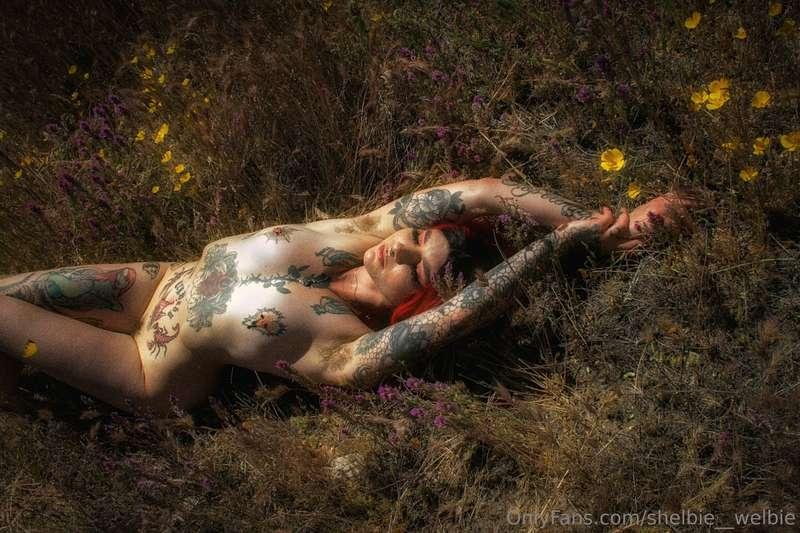 shelbie__welbie image #1