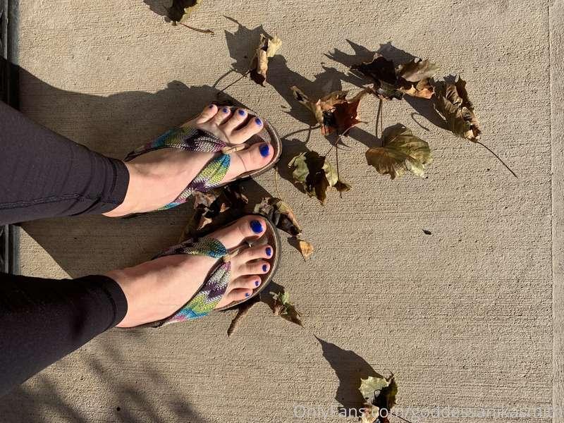 Not accepting that it’s fall yet 😢Flip flops forever.Https:/..