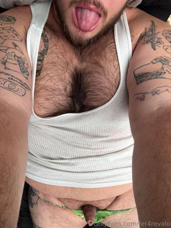fer4revalo image #2