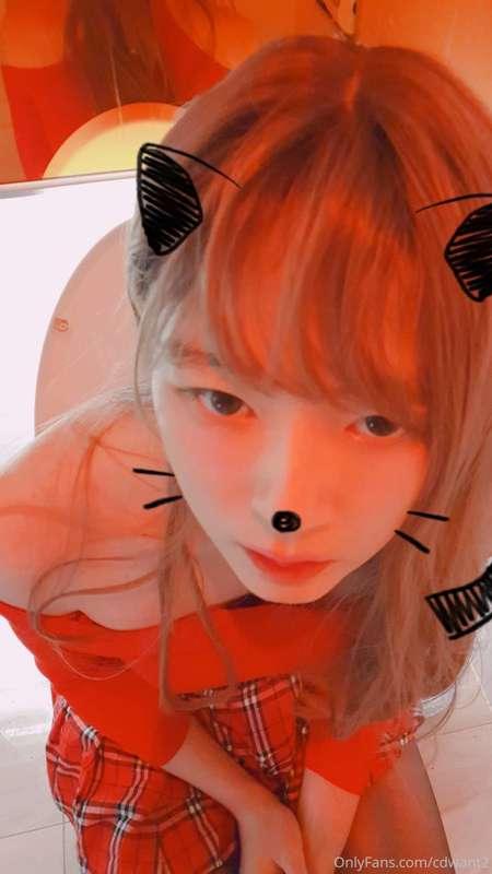 사진 18 장 +ㅁ+


18 photos
