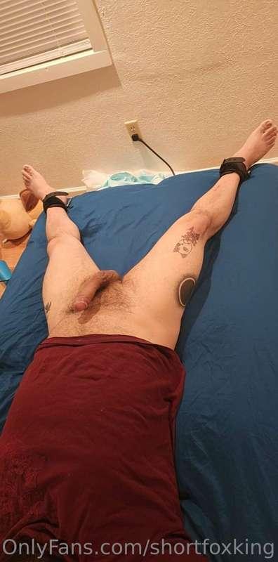 raginkitsune image #0