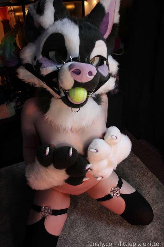 littlepixiekitten image #2