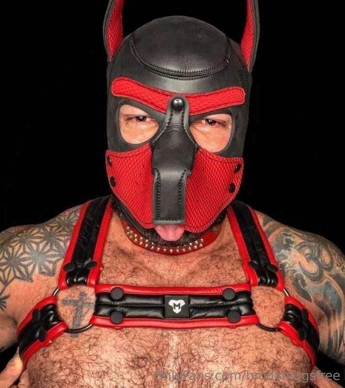 brodybiggsfree image #1