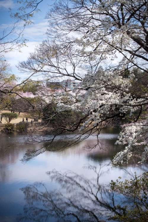 In Japan :)