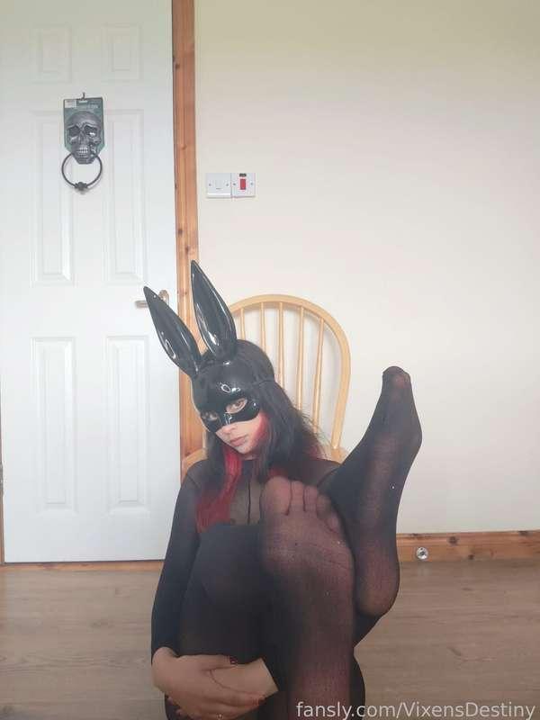 vixensdestiny image #1