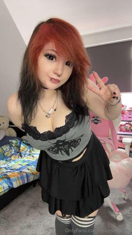 littlescarefox image #1