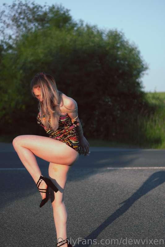 dewvixen image #0