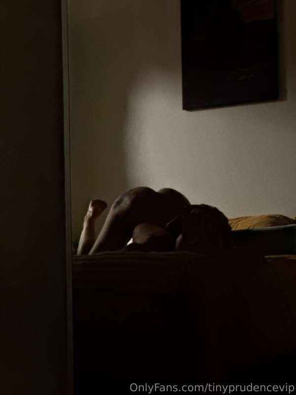 tinyprudencevip image #11