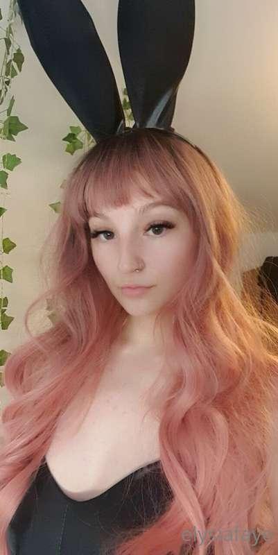 Can we fuck like rabbits? 🐰