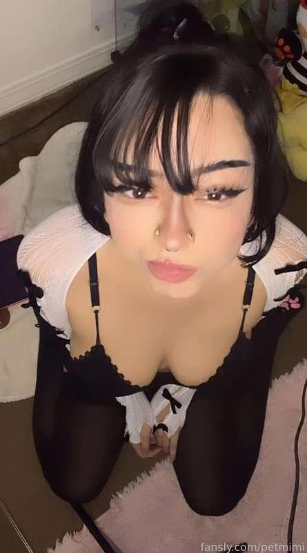 petmimi image #2