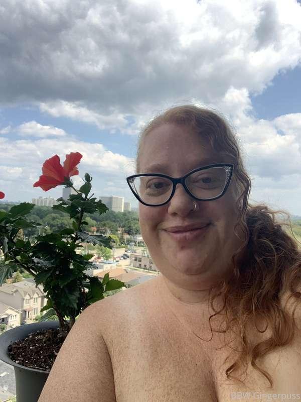 bbwgingerpuss main image