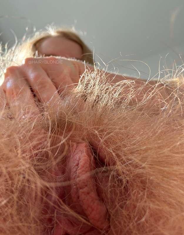 hairyblondie image #1