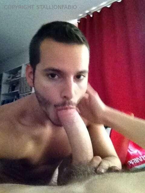 stallionfabio image #12