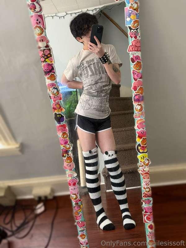 milesissoft image #0