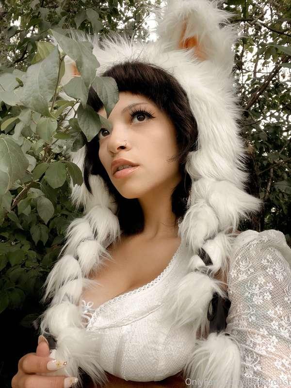 Wolf photos for you :3