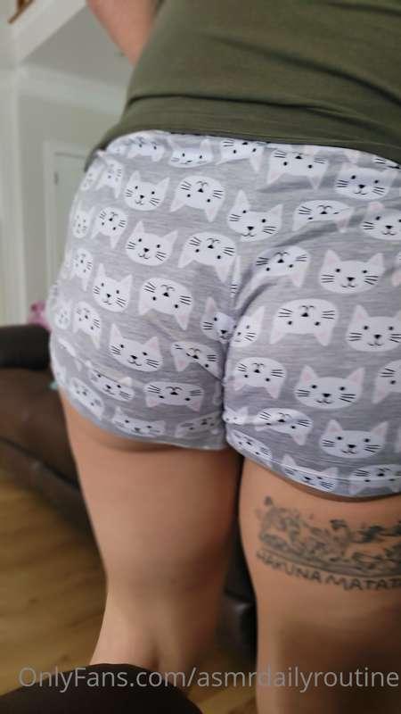 meow.
=====