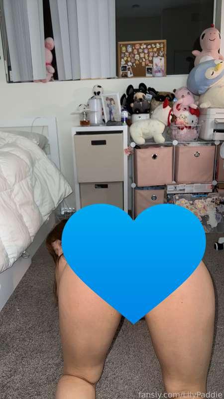 lilypaddie image #1
