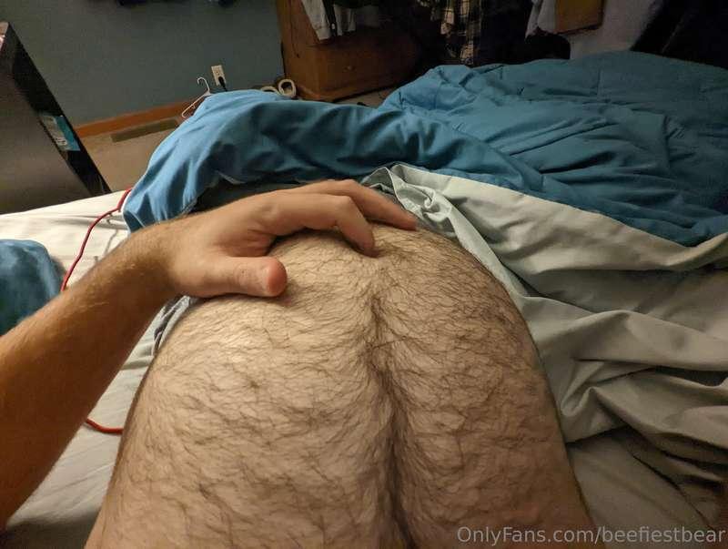 beefiestbear image #0