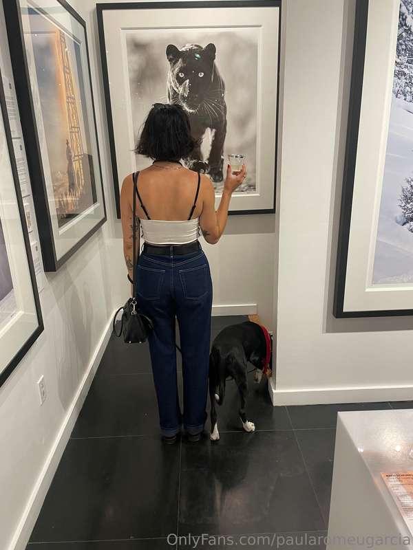 bigbravebird image #4