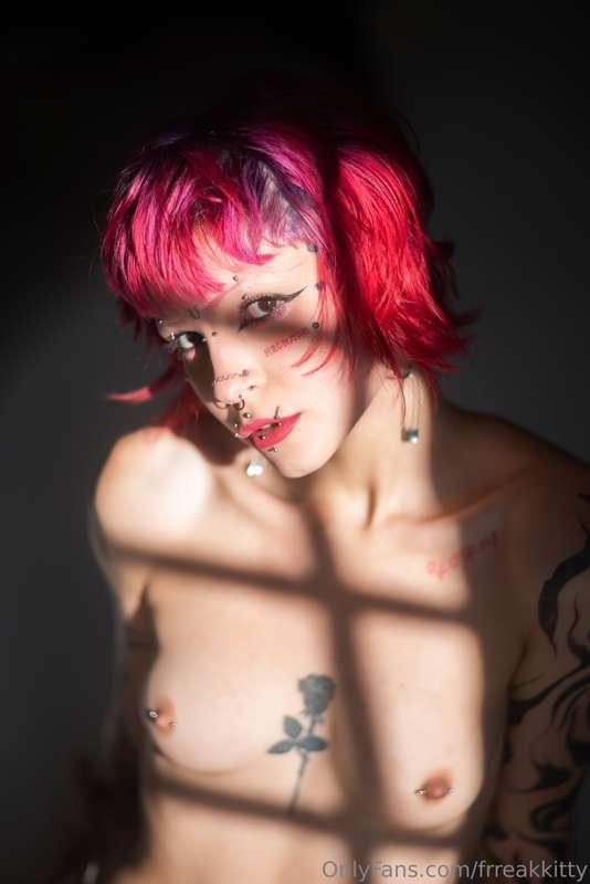 frreakkitty image #1
