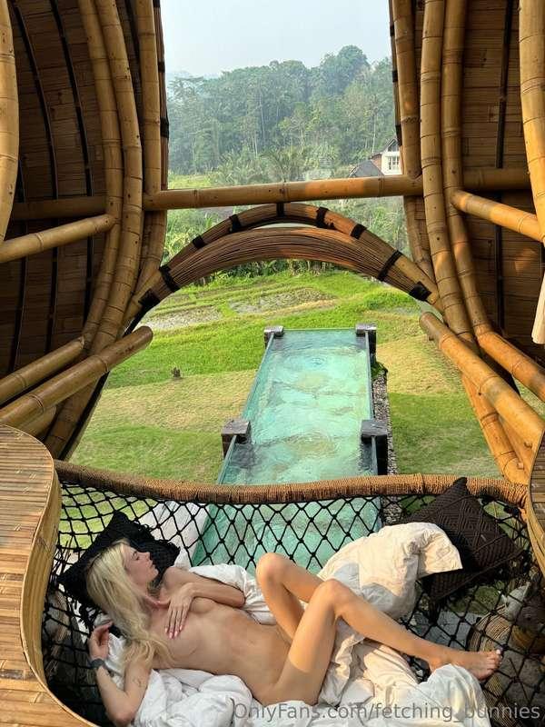 fetching_bunnies image #0