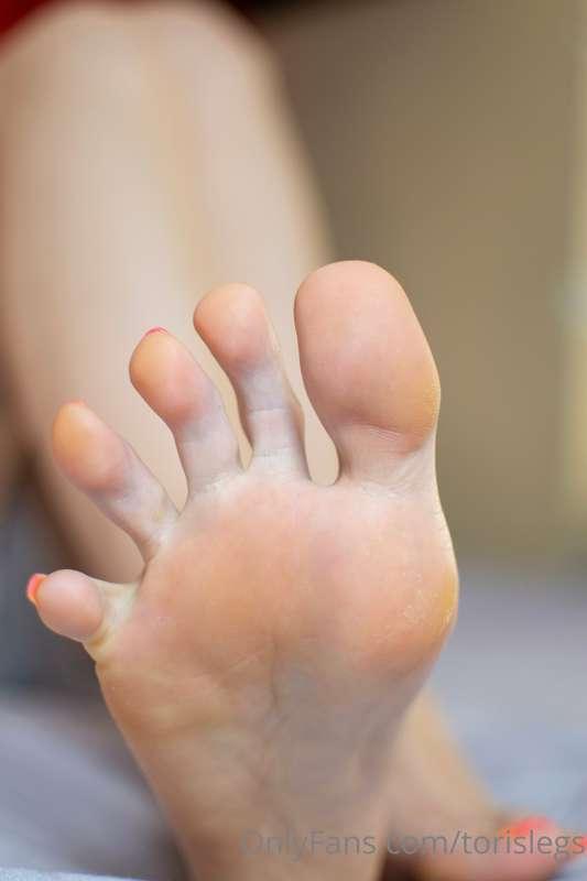 torislegs image #9