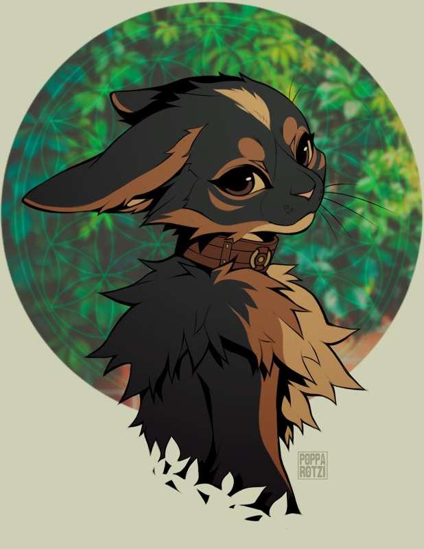 HD .PNG + .PSD - 13021901