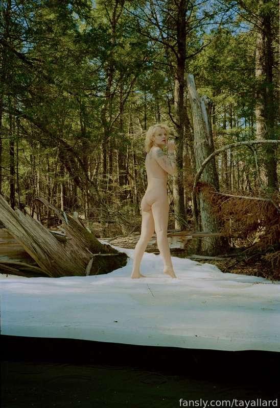tayallard image #2