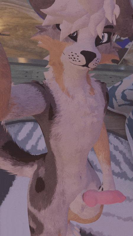 wilddoggyvr image #0