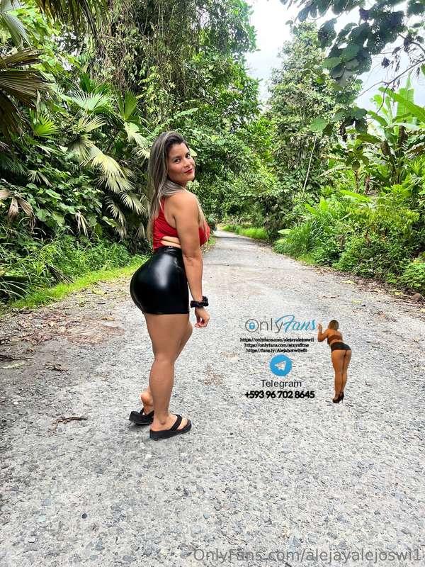 alejayalejoswi1 image #0
