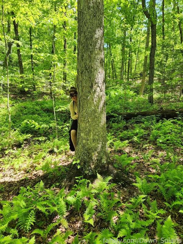 dawn_solaris image #1