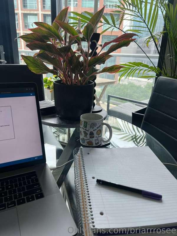 Study day 📒📓