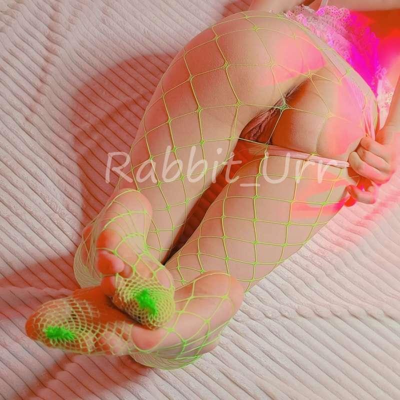 rabbit_urr image #16