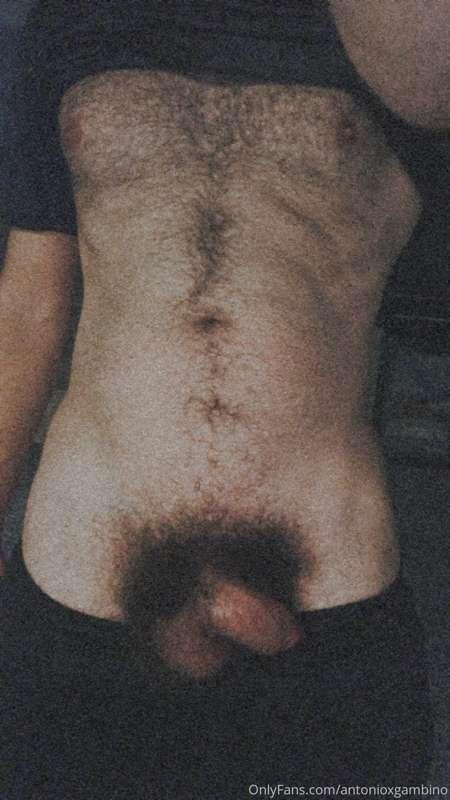 Do you like my bush or cock more?