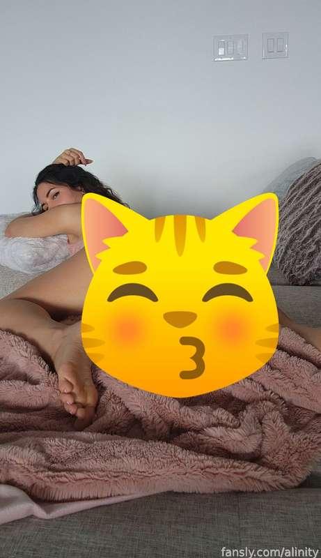alinity image #1