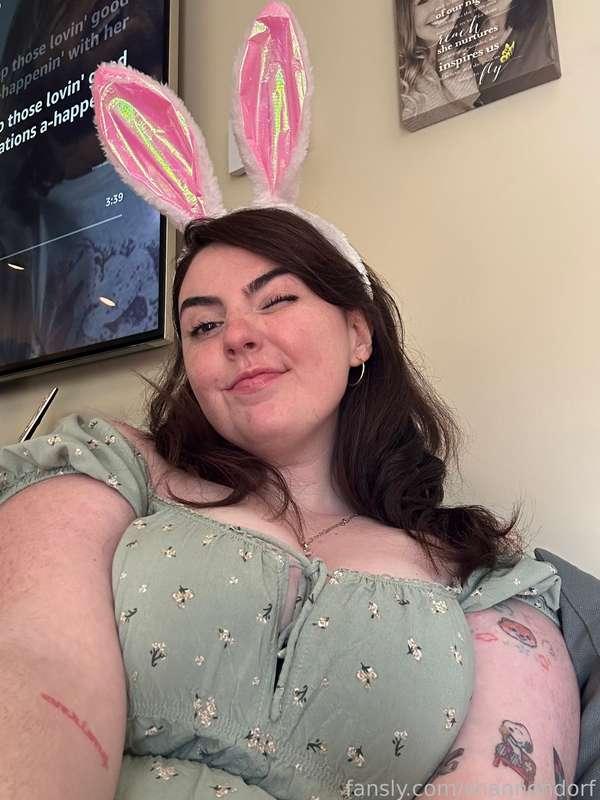 shannondorf image #0