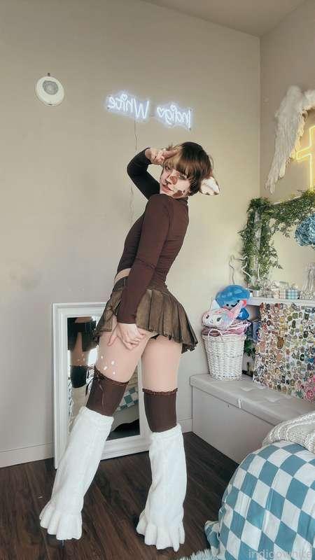 indigowhite image #46