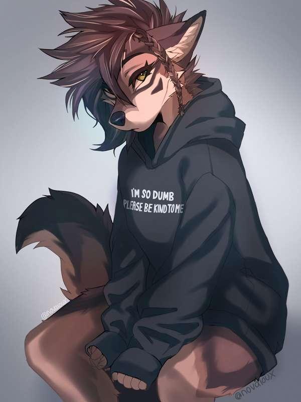 Hoody psd file!