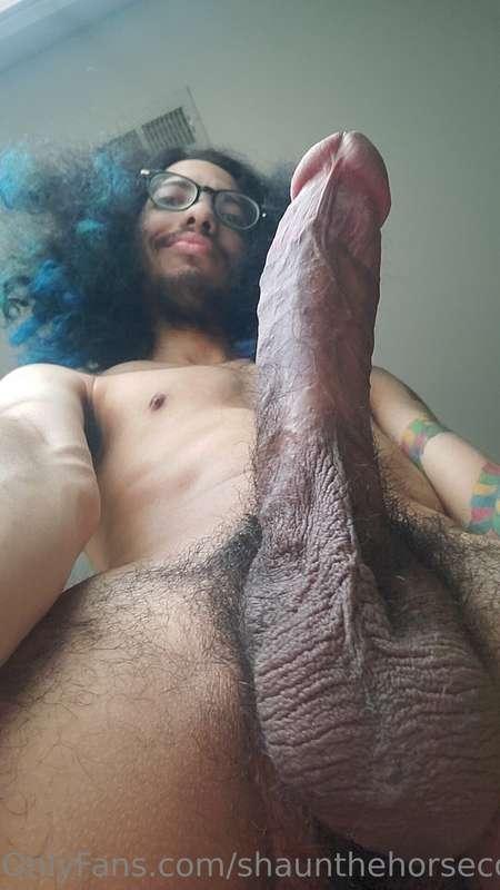 shaunthehorsecock image #1