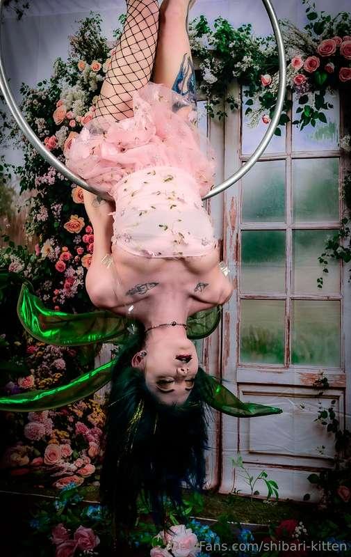 LAST DAY TO GET MY ENTIRE VAULT OF CONTENT! The countdown be..