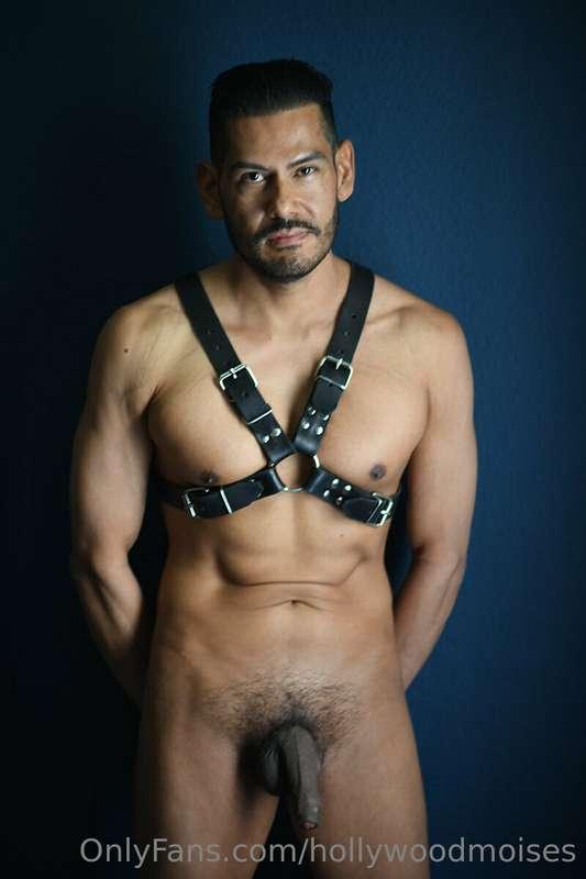 hollywoodmoises image #2