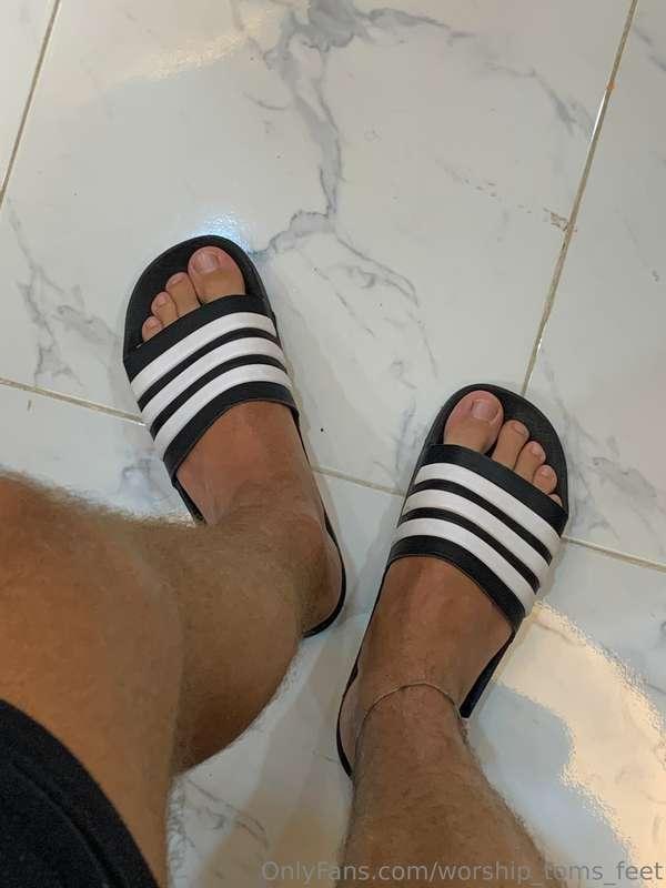 Who likes the sliders ?